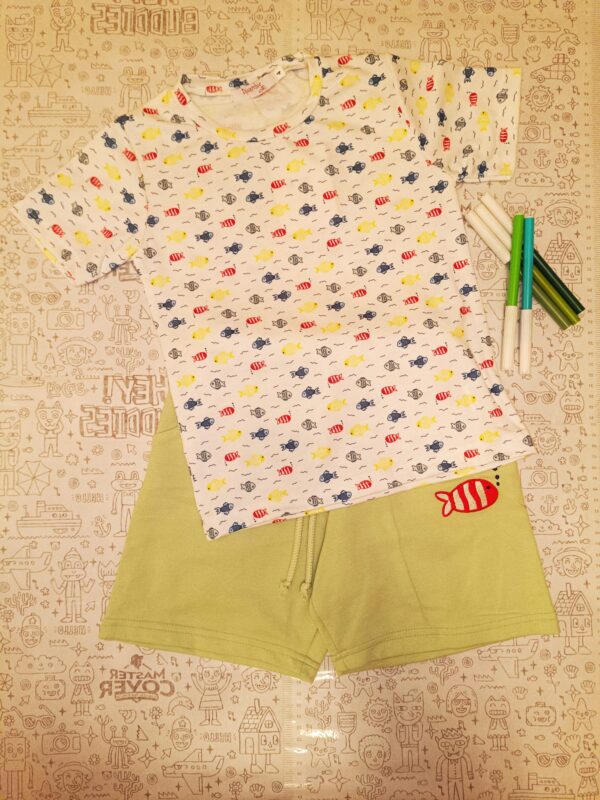 Conjunto peces