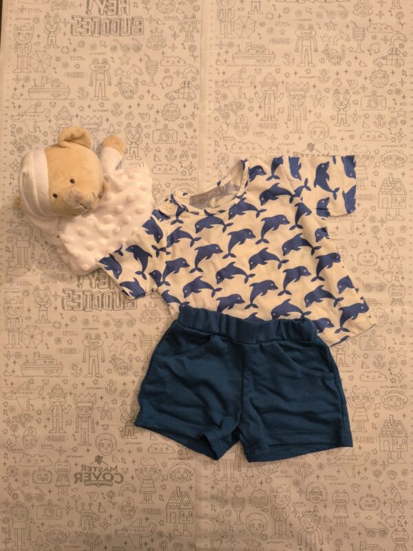 Conjunto Delfines