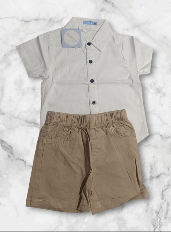 Conjunto vestir